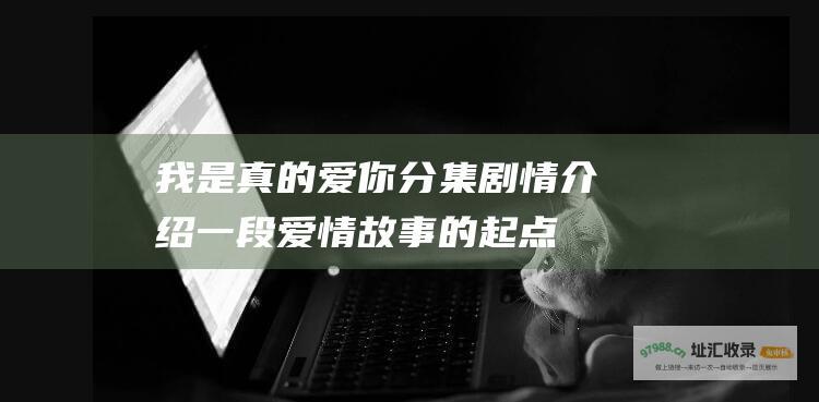 我是真的爱你分集剧情介绍一段爱情故事的起点