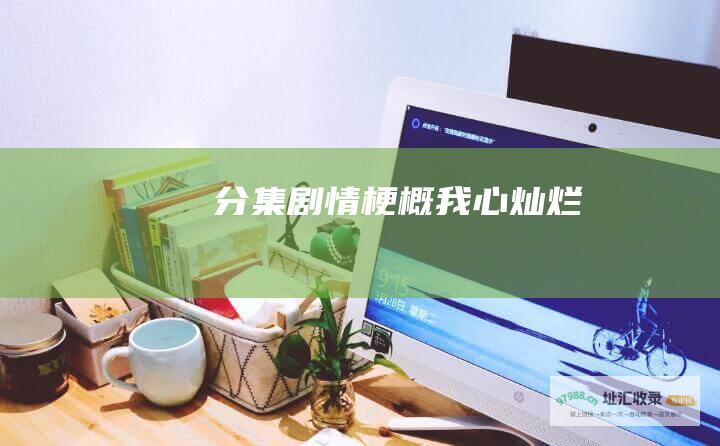 分集剧情梗概我心灿烂