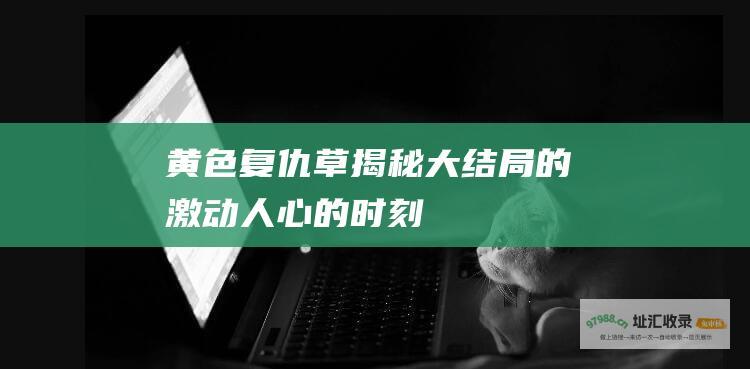 黄色复仇草揭秘大结局的激动人心的时刻