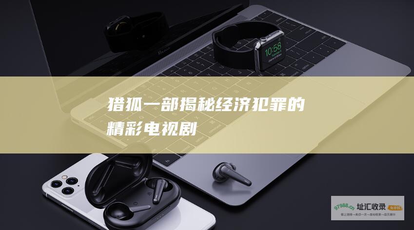 猎狐一部揭秘经济犯罪的精彩电视剧