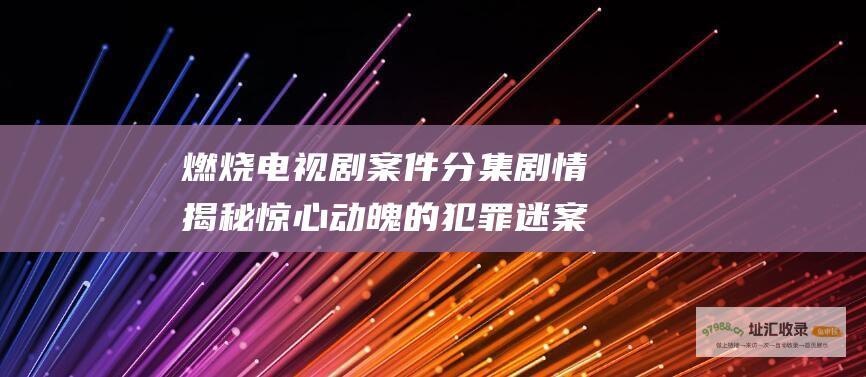 燃烧电视剧案件分集剧情揭秘惊心动魄的犯罪迷案