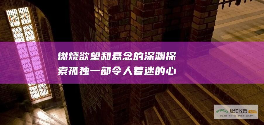 燃烧欲望和悬念的深渊探索孤独一部令人着迷的心