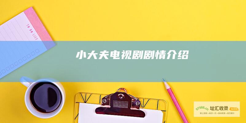 小大夫电视剧剧情介绍