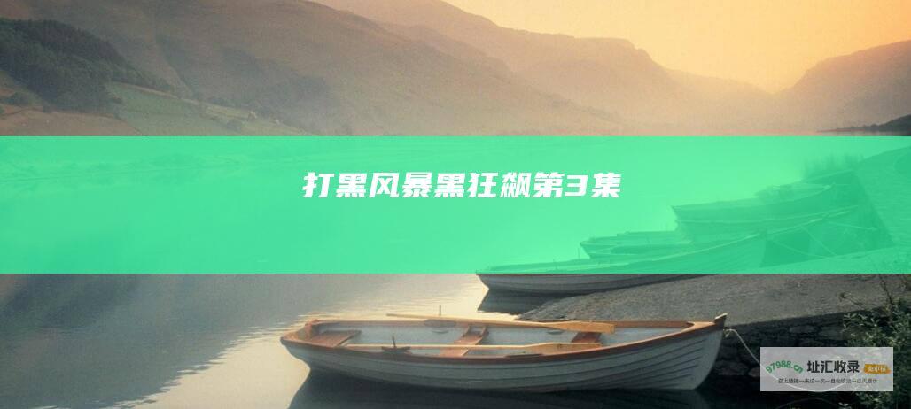 打黑风暴黑狂飙第3集