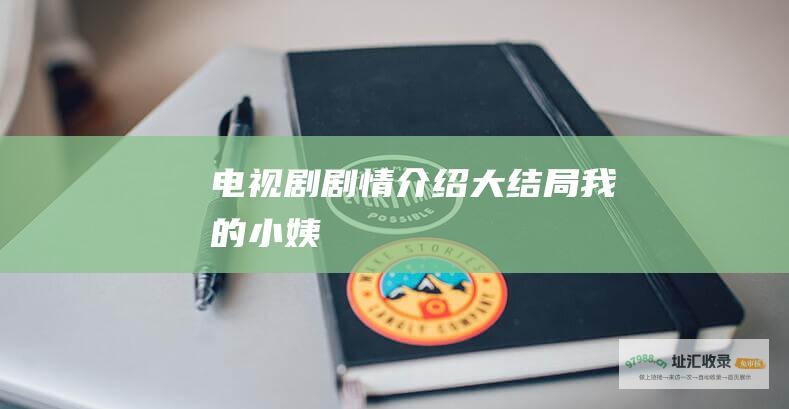 电视剧剧情介绍大结局我的小姨