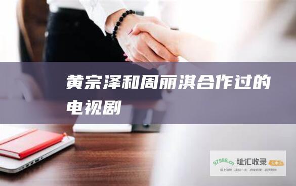黄宗泽和周丽淇合作过的电视剧