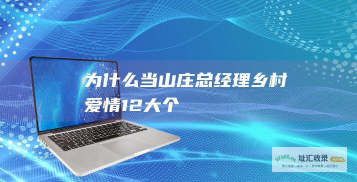 为什么当山庄总经理 乡村爱情12大个