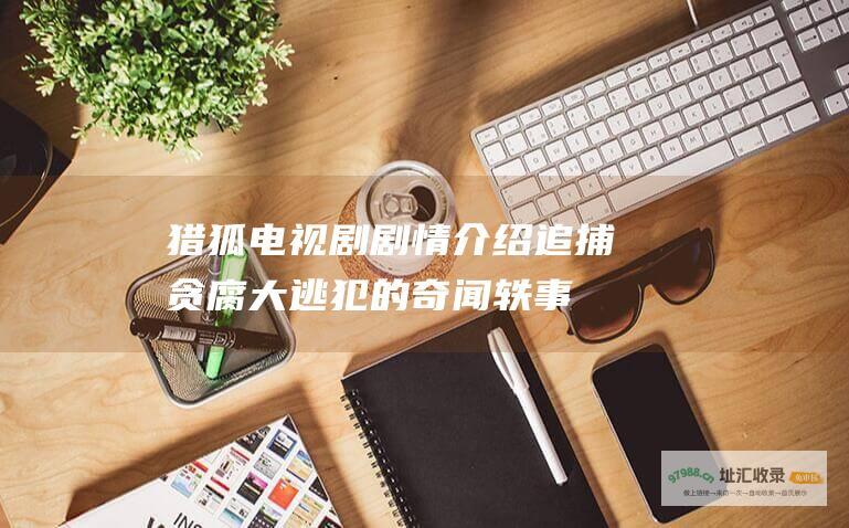 猎狐电视剧剧情介绍追捕贪腐大逃犯的奇闻轶事