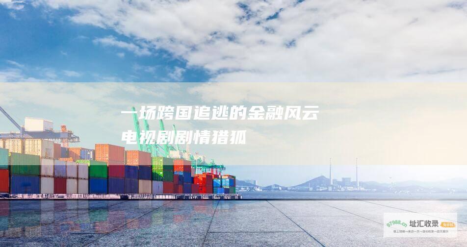 一场跨国追逃的金融风云电视剧剧情猎狐