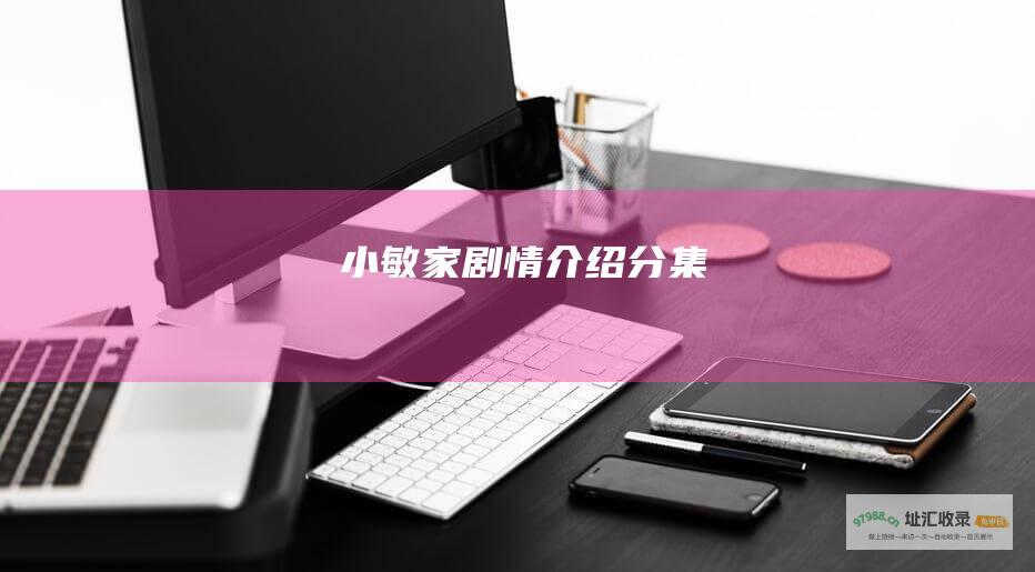 小敏家剧情介绍分集