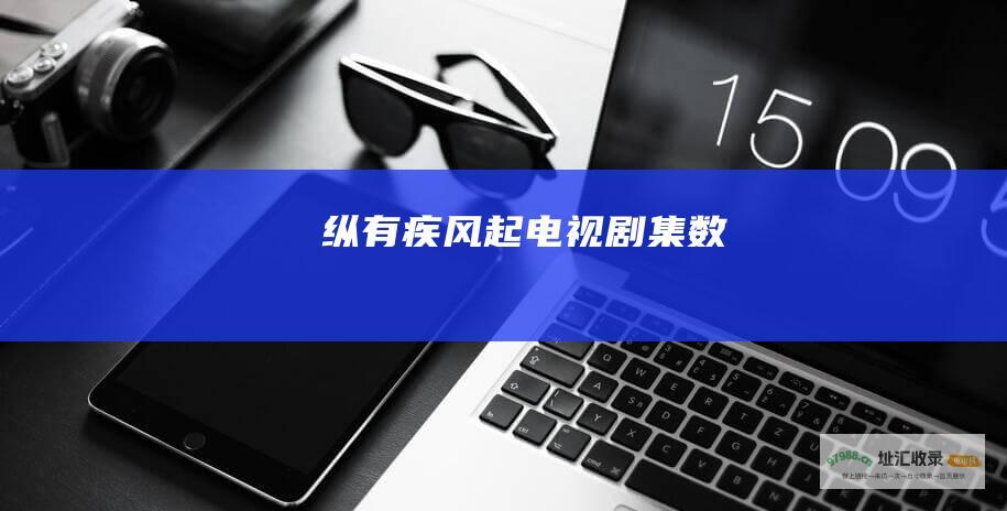 纵有疾风起电视剧集数