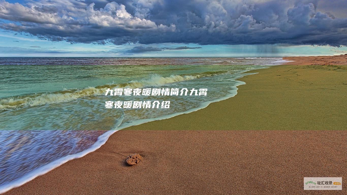 九霄寒夜暖剧情简介 九霄寒夜暖剧情介绍