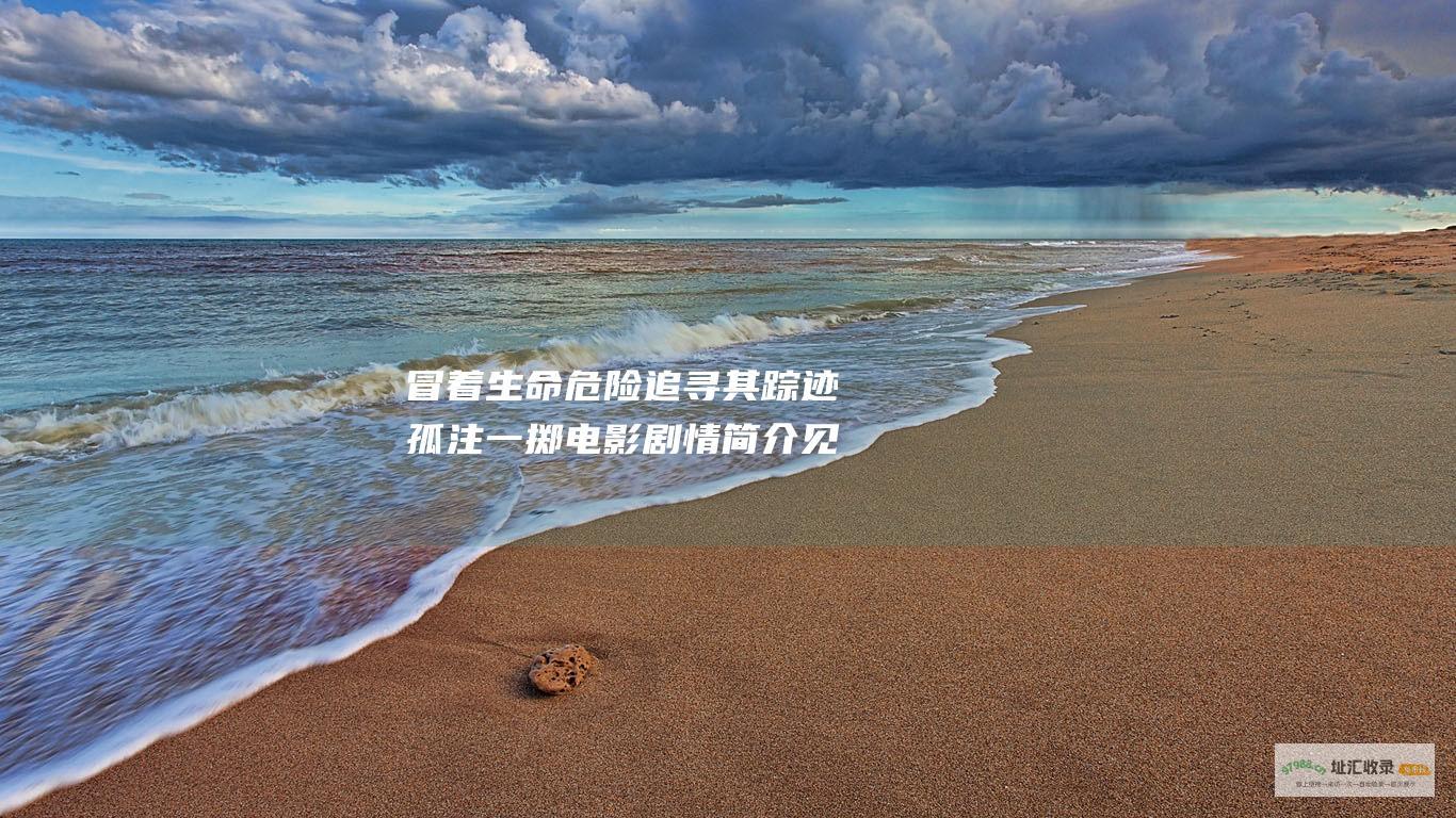 冒着生命危险追寻其踪迹 孤注一掷电影剧情简介 见证大自然的狂暴力量 孤注一掷讲述了一场高风险的龙卷风追逐 一组风暴追逐者不顾一切地接近一场巨大的龙卷风