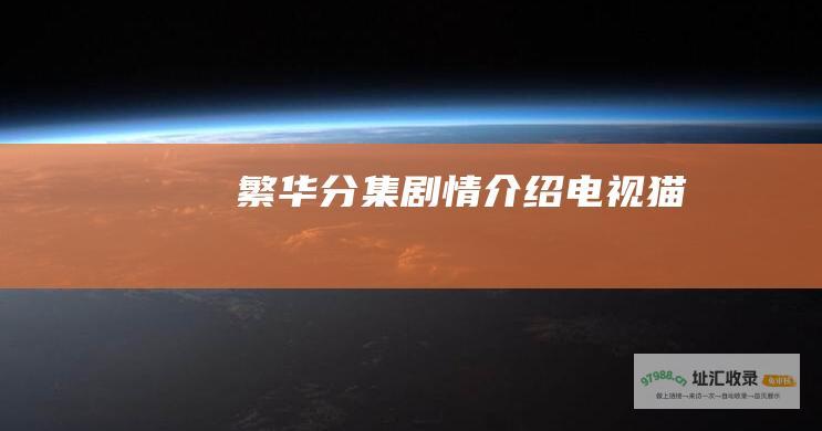 繁华分集剧情介绍电视猫