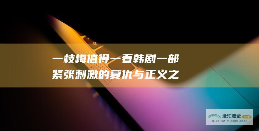 一枝梅 值得一看 韩剧 一部紧张刺激的复仇与正义之作