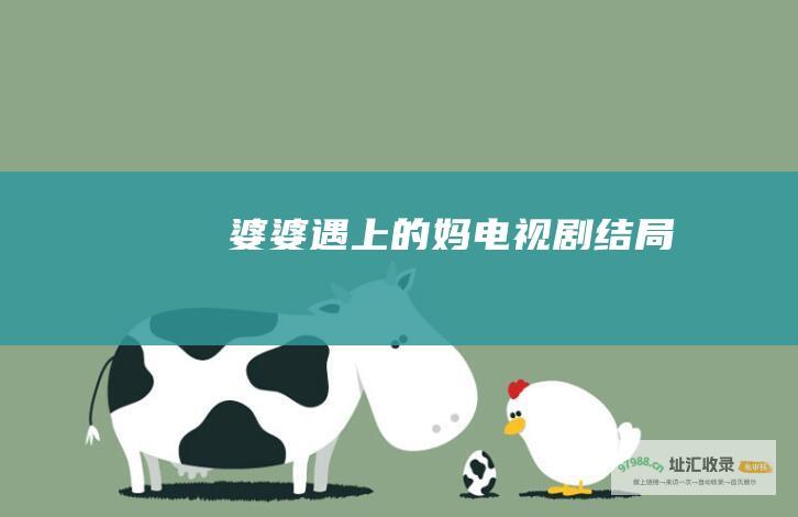 婆婆遇上的妈电视剧结局