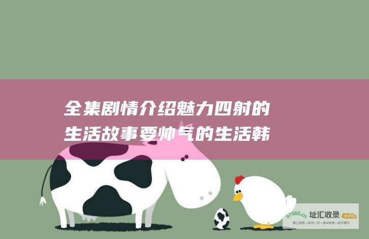 全集剧情介绍魅力四射的生活故事要帅气的生活韩