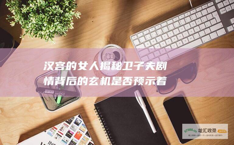 汉宫的女人 揭秘卫子夫剧情背后的玄机 是否预示着 有望问世 美人心计第二部为何偏离汉宫秘史