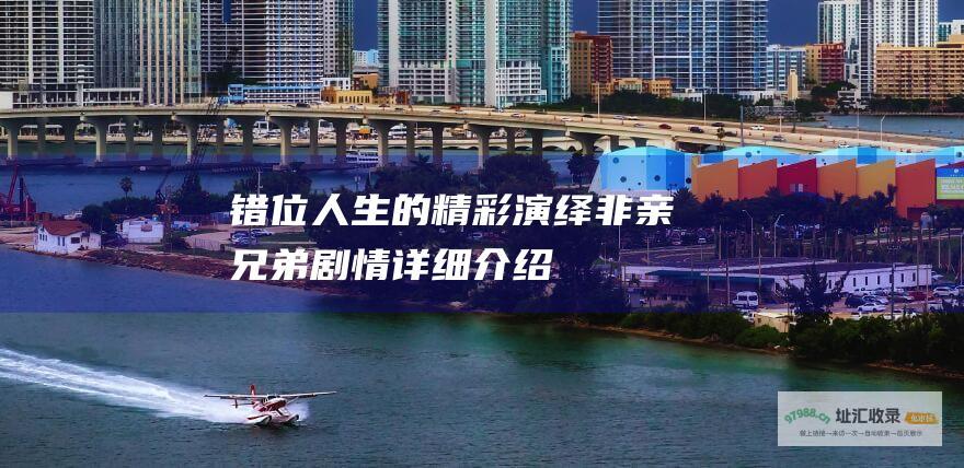 错位人生的精彩演绎非亲兄弟剧情详细介绍