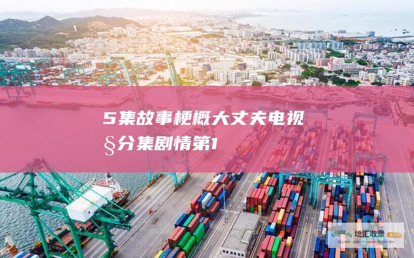 5集故事梗概 大丈夫电视剧分集剧情 第1