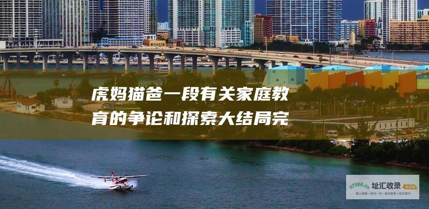 虎妈猫爸一段有关家庭教育的争论和探索大结局完