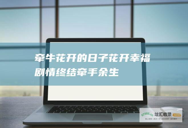 牵牛花开的日子花开幸福剧情终结牵手余生