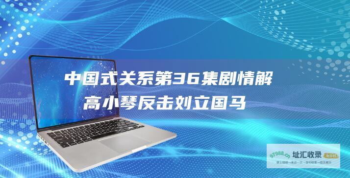 中国式关系第36集剧情解析 高小琴反击刘立国 马国梁被沈运归审问