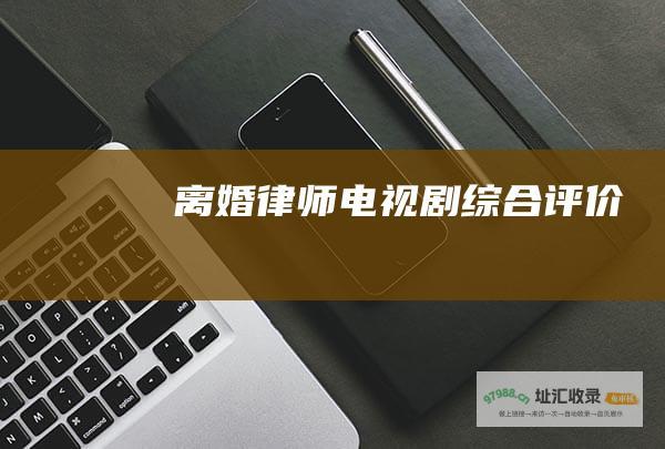 离婚律师 电视剧综合评价