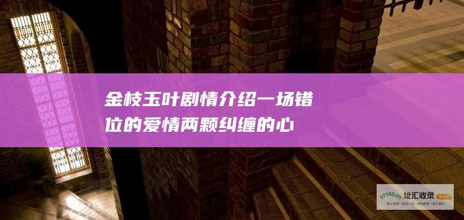 金枝玉叶剧情介绍一场错位的爱情两颗纠缠的心