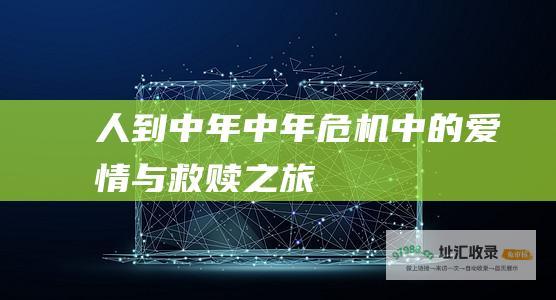人到中年 中年危机中的爱情与救赎之旅