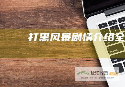 打黑风暴剧情介绍全集