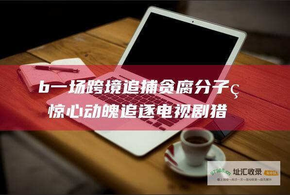 b一场跨境追捕贪腐分子的惊心动魄追逐电视剧猎