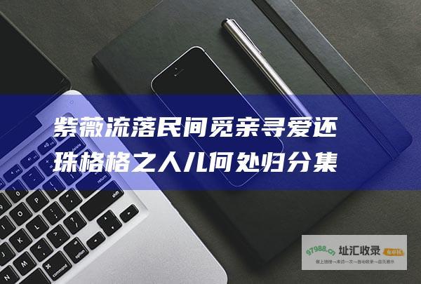 紫薇流落民间觅亲寻爱 还珠格格之人儿何处归分集剧情