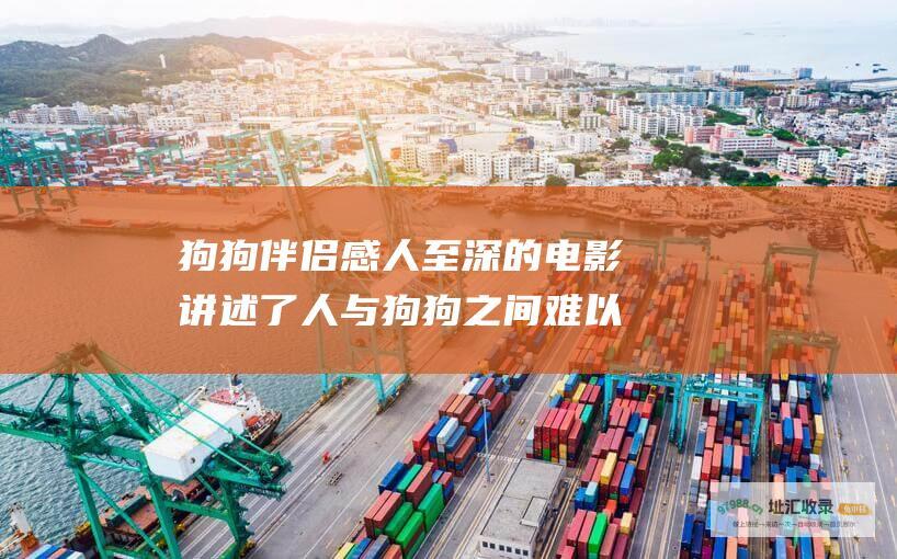 狗狗伴侣 感人至深的电影 讲述了人与狗狗之间难以置信的联系