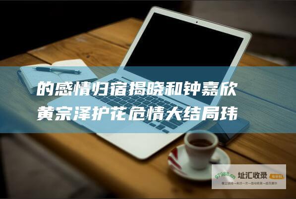 的感情归宿揭晓和钟嘉欣黄宗泽护花危情大结局玮