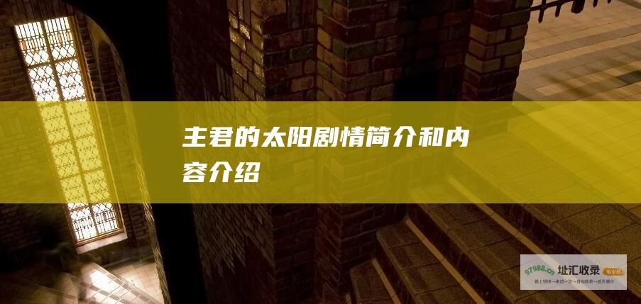 主君的太阳 剧情简介和内容介绍