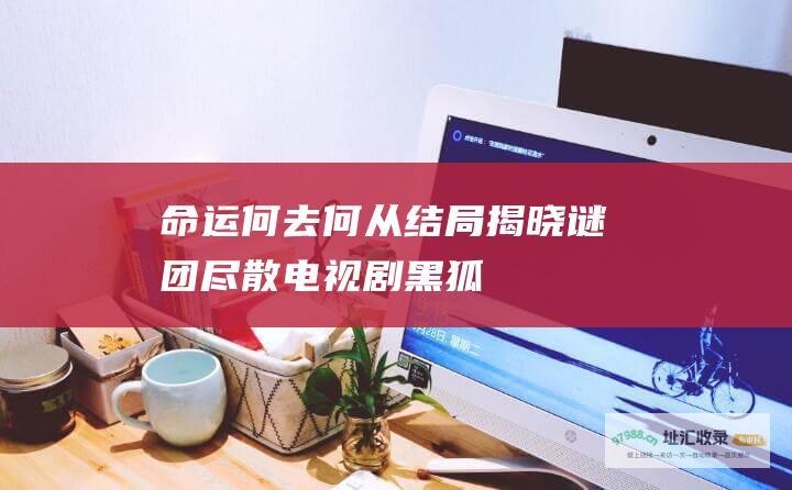 命运何去何从结局揭晓谜团尽散电视剧黑狐