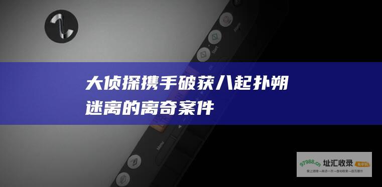 大侦探携手破获八起扑朔迷离的离奇案件