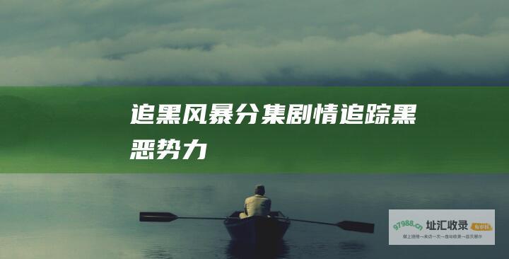 追黑风暴分集剧情追踪黑恶势力