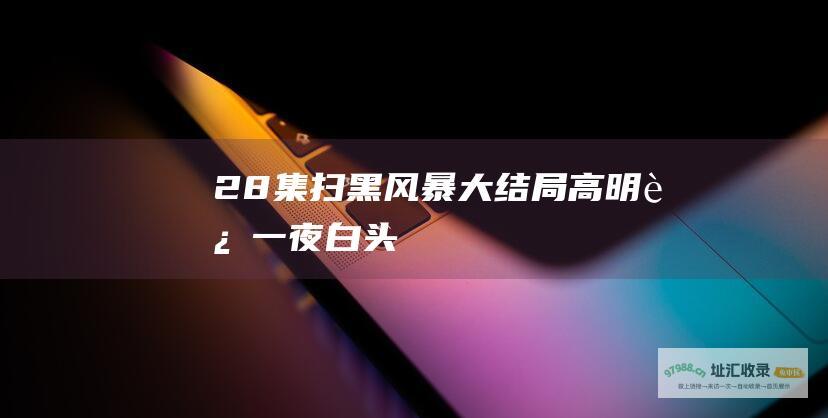 28集扫黑风暴大结局高明远一夜白头