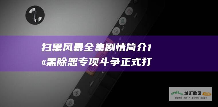 扫黑风暴全集剧情简介1扫黑除恶专项斗争正式打