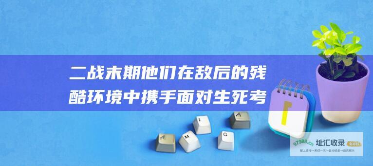 二战末期他们在敌后的残酷环境中携手面对生死考