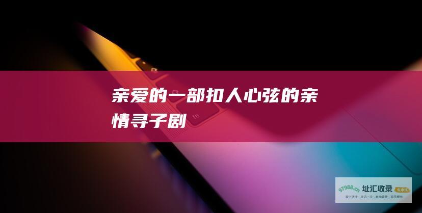 亲爱的一部扣人心弦的亲情寻子剧