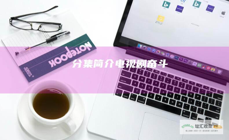 分集简介 电视剧 奋斗