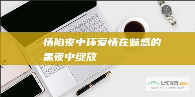 情陷夜中环爱情在魅惑的黑夜中绽放