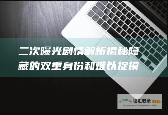 二次曝光 剧情解析 揭秘隐藏的双重身份和难以捉摸的真相 电影