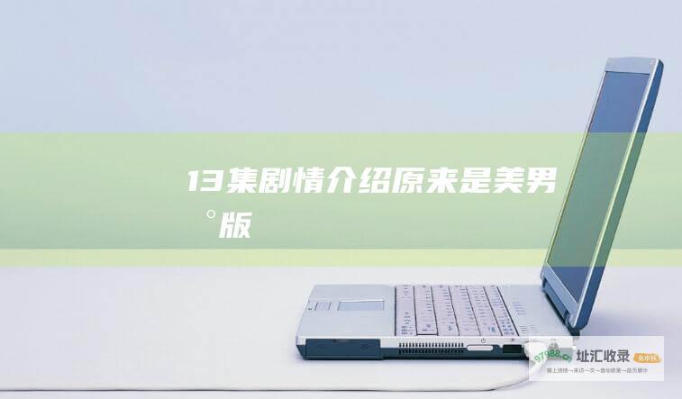 13 集剧情介绍 原来是美男台版
