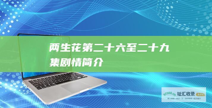两生花第二十六至二十九集剧情简介