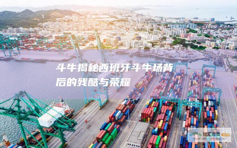 斗牛 揭秘西班牙斗牛场背后的残酷与荣耀