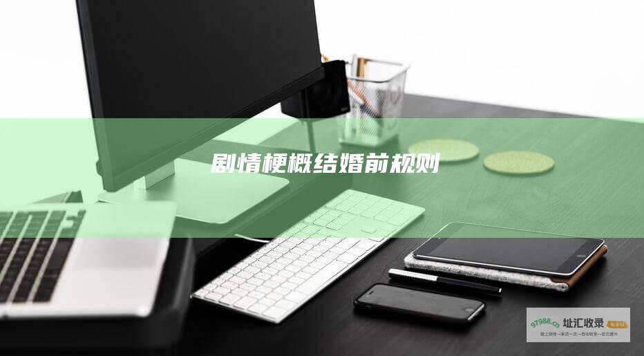 剧情梗概结婚前规则